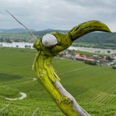 cycletux