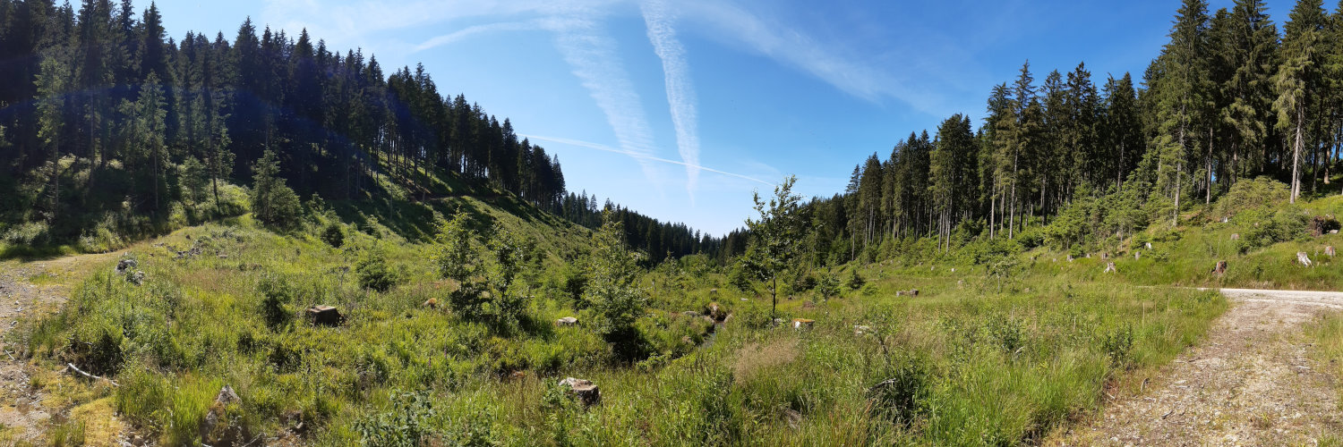 Header Image