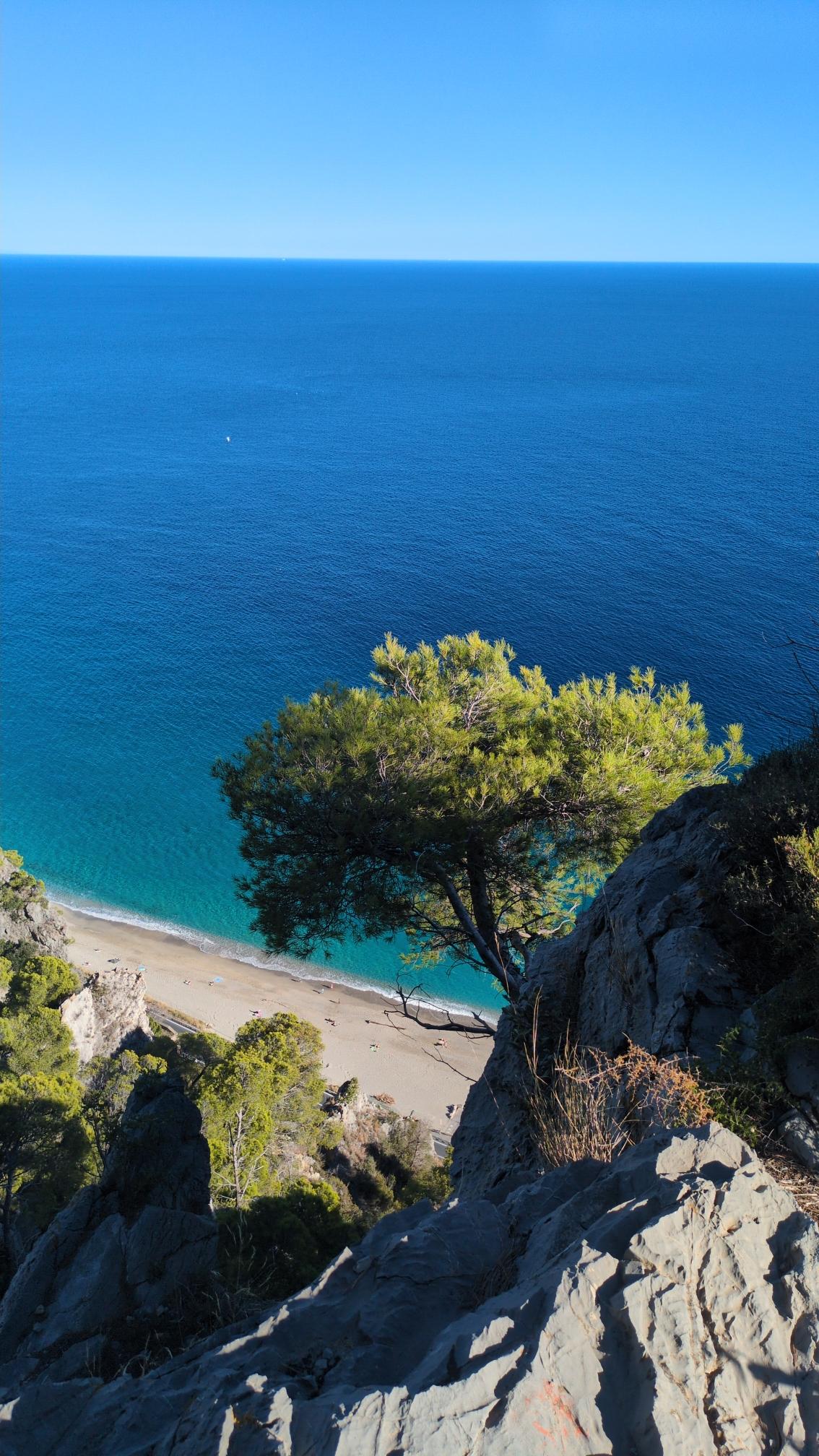 View down the limestone cliffs with some pine trees to the beach and a green-blue sea.