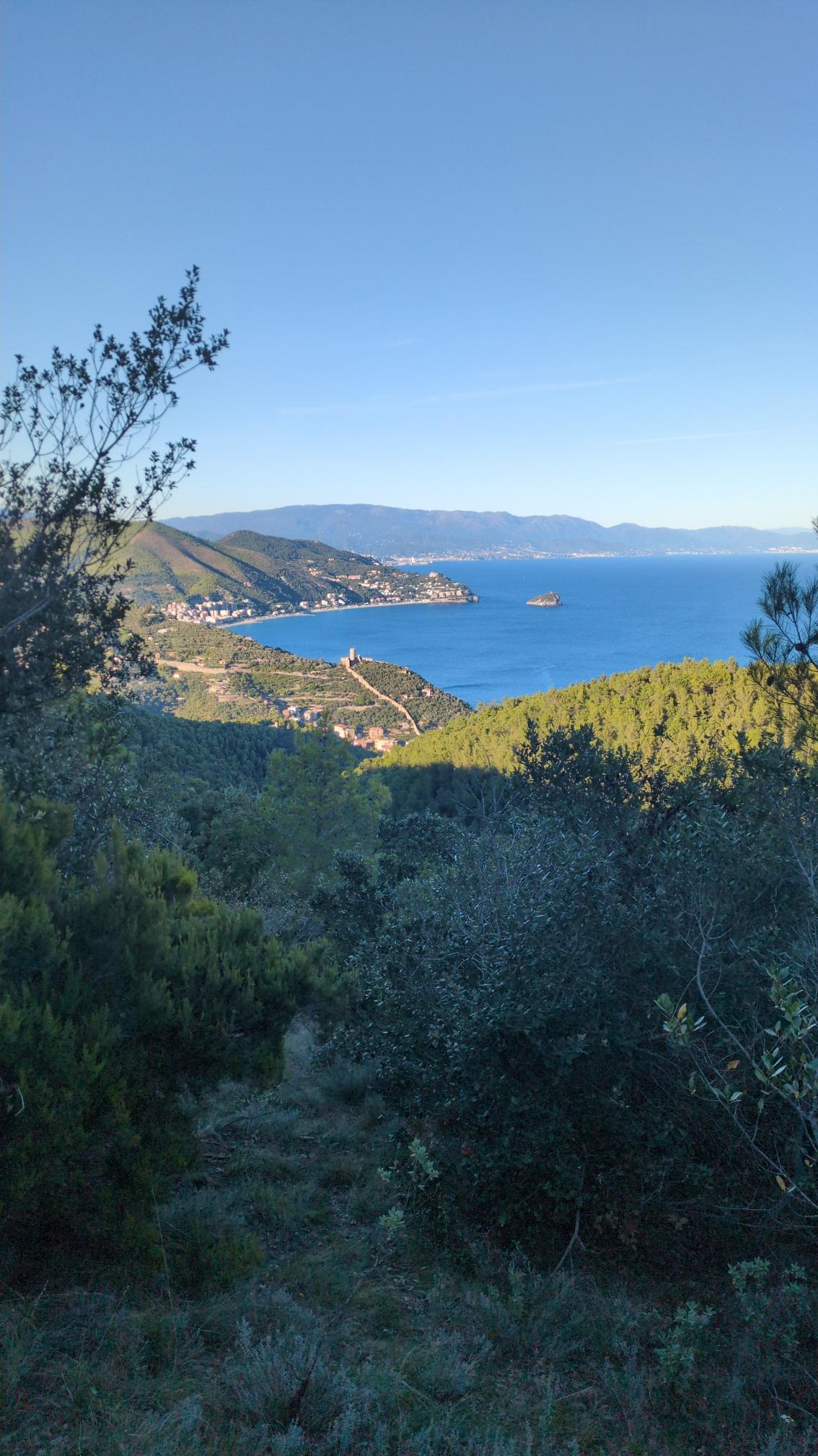 View eastwards. Near the coastline a long wall and a tower between a pine tree forest. In the foreground bushes and some olive trees.