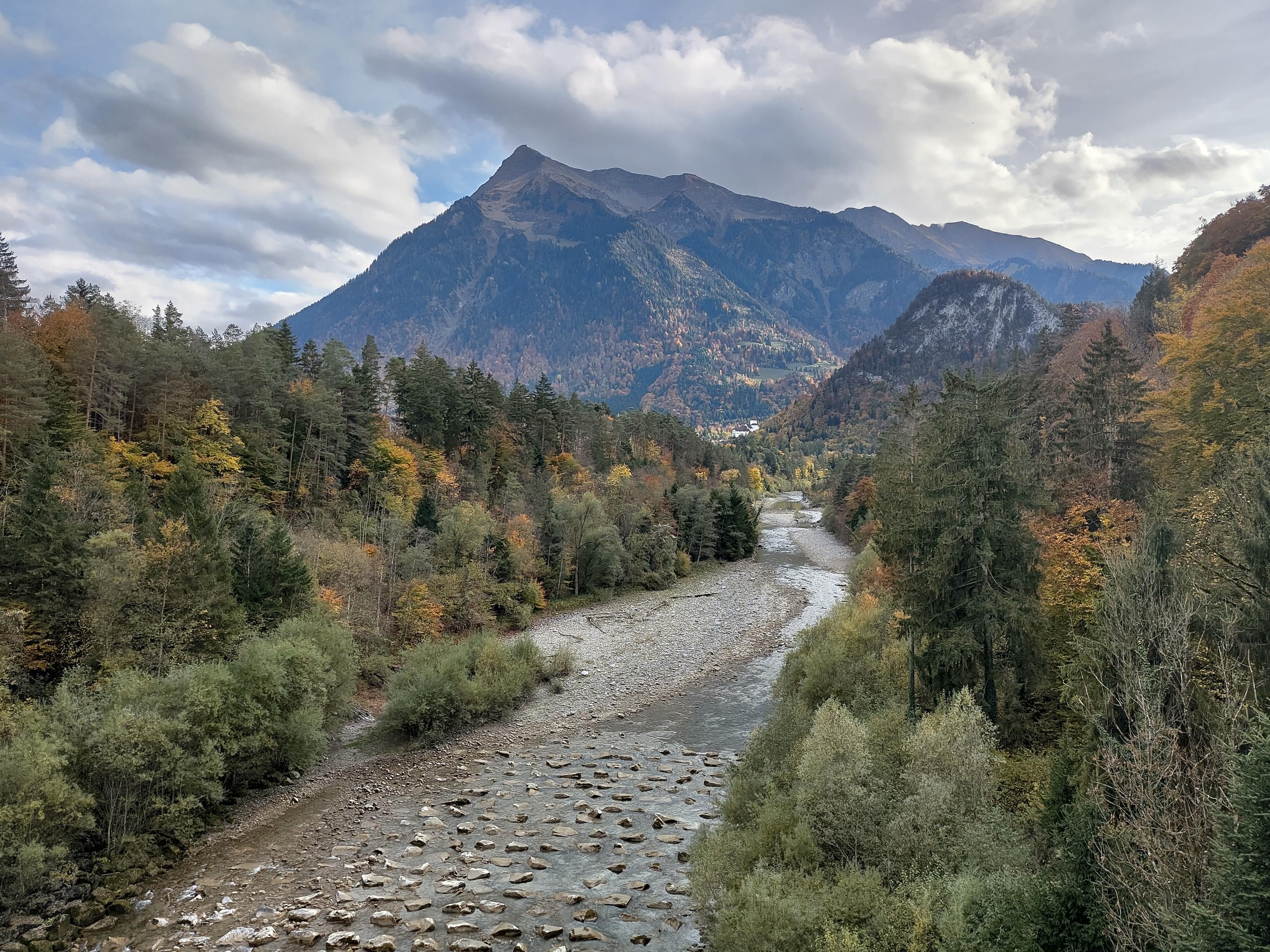 Mountain with trees in fall colours. A stream runs through the forest.