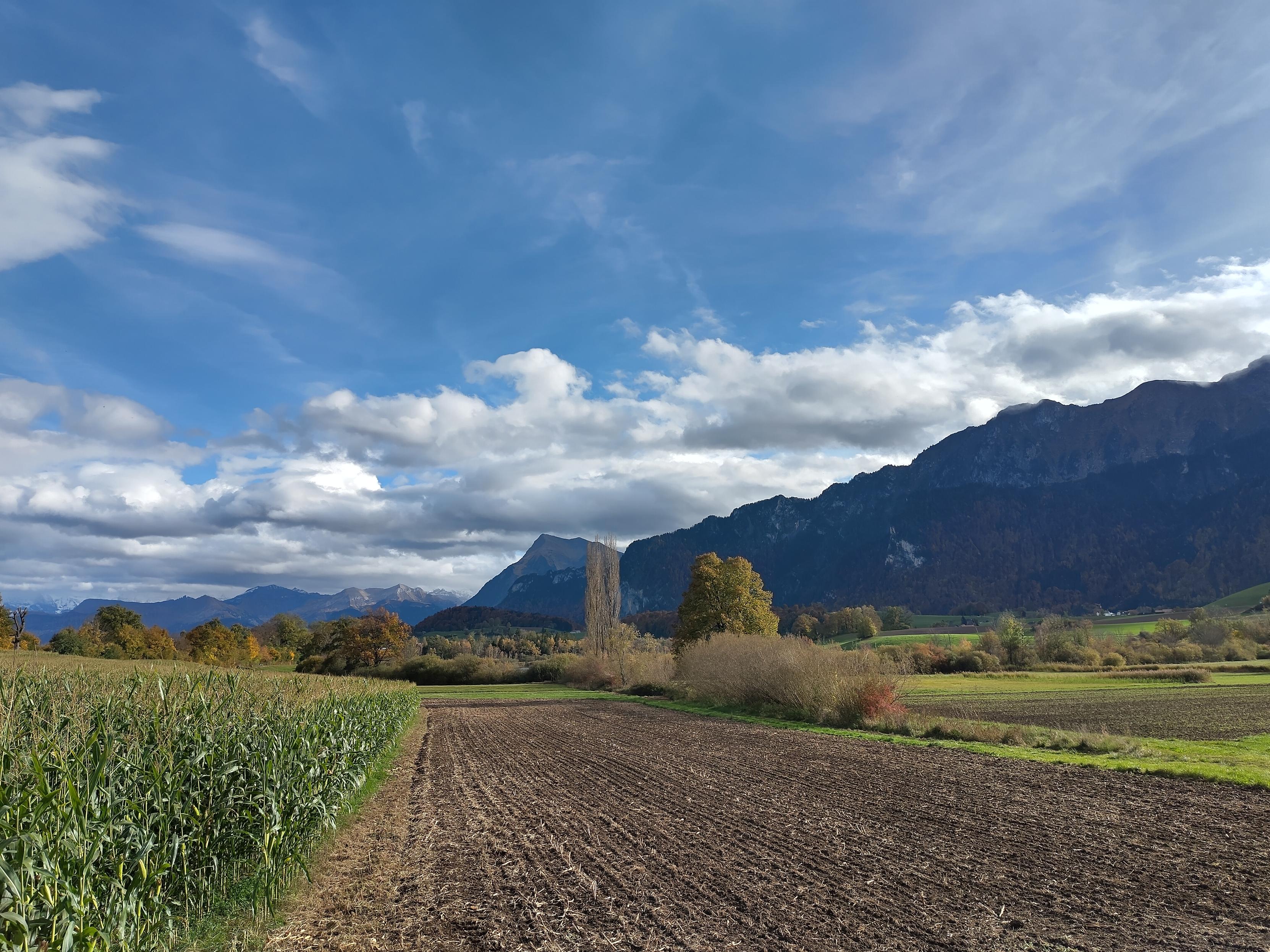 Mountain view over agriculture fields.