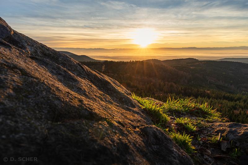 On the horizon, the first rays of sunlight appear, illuminating long streaks of low clouds with an orange-yellow glow. A starburst effect makes the rising sun appear as radiant, star-like bursts of orange light.
On a large rock in the foreground, a few tufts of vibrant green grass are enhanced by this soft light, contrasting with the dark wooded hills in their background.