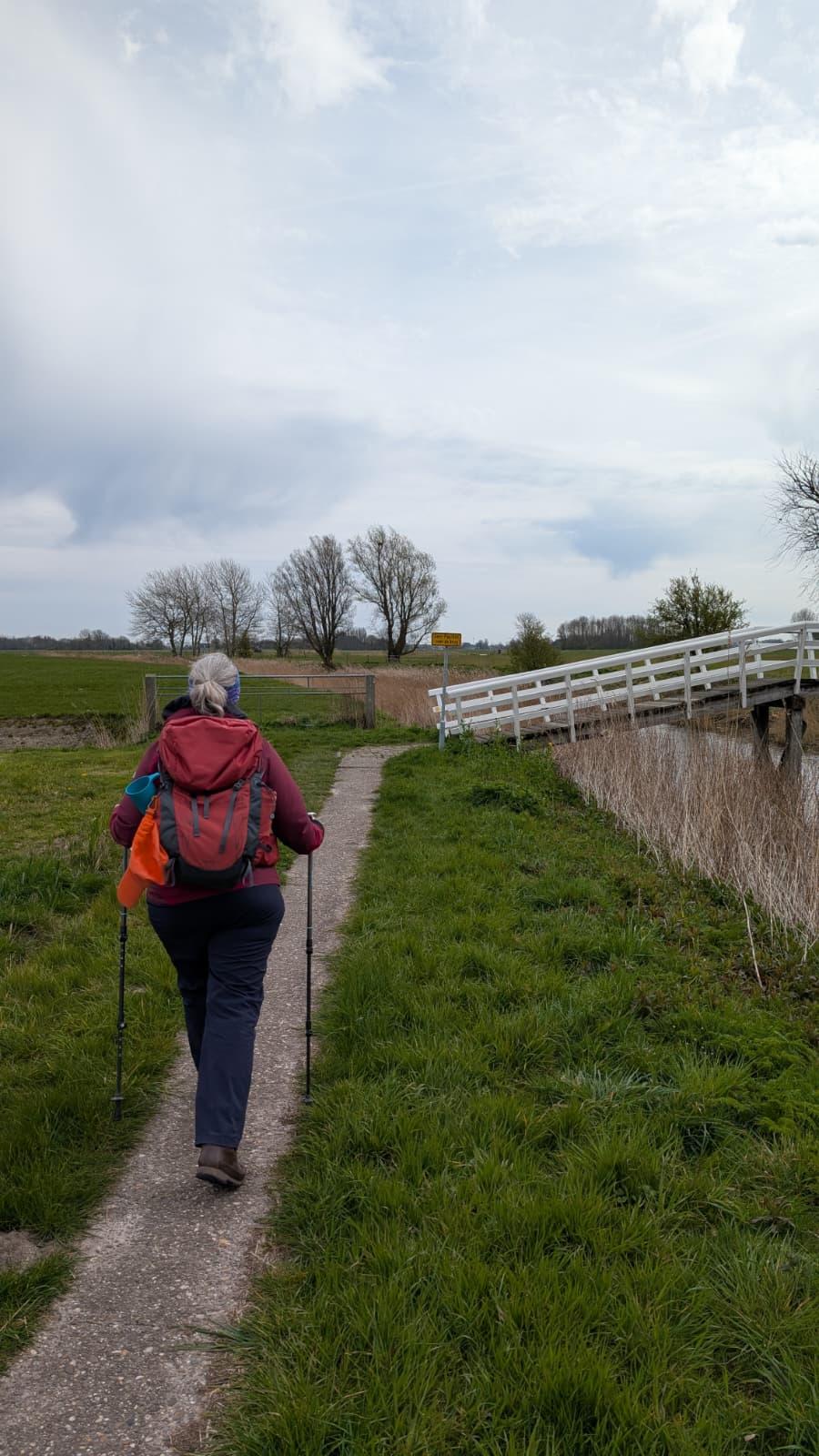 Me seen from behind with my backpack and walking sticks. I'm walking on a narrow footpath with grass on either side towards a white bridge.