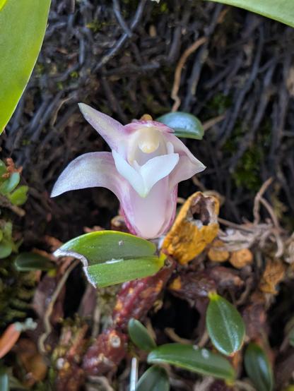 Posted media