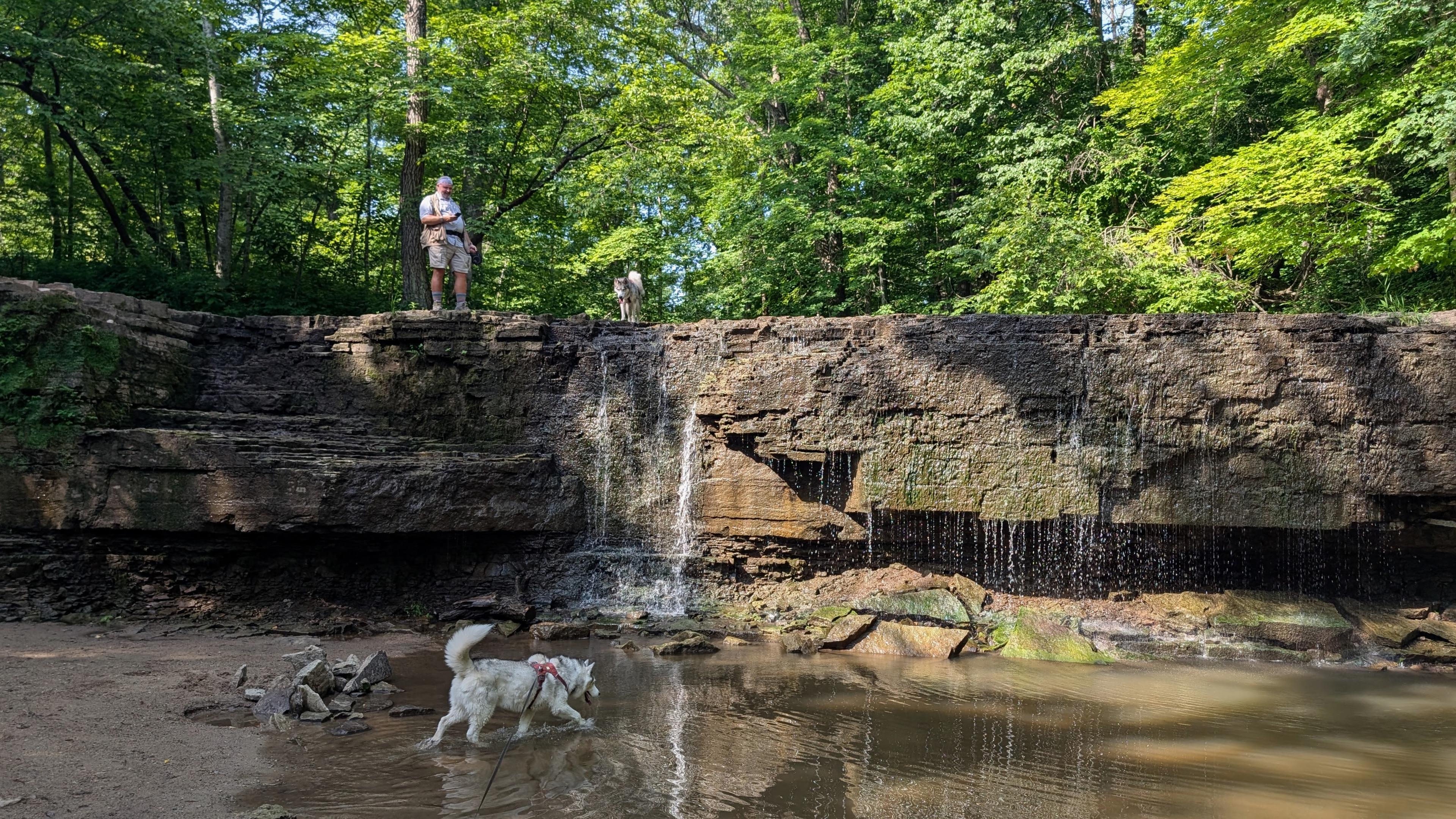Zeena explores the shady left side of the pool below the falls in the previous photos, while hiker Jeff and husky Tonttu explore the flat ledge above, both partly lit with dappled sunlight.