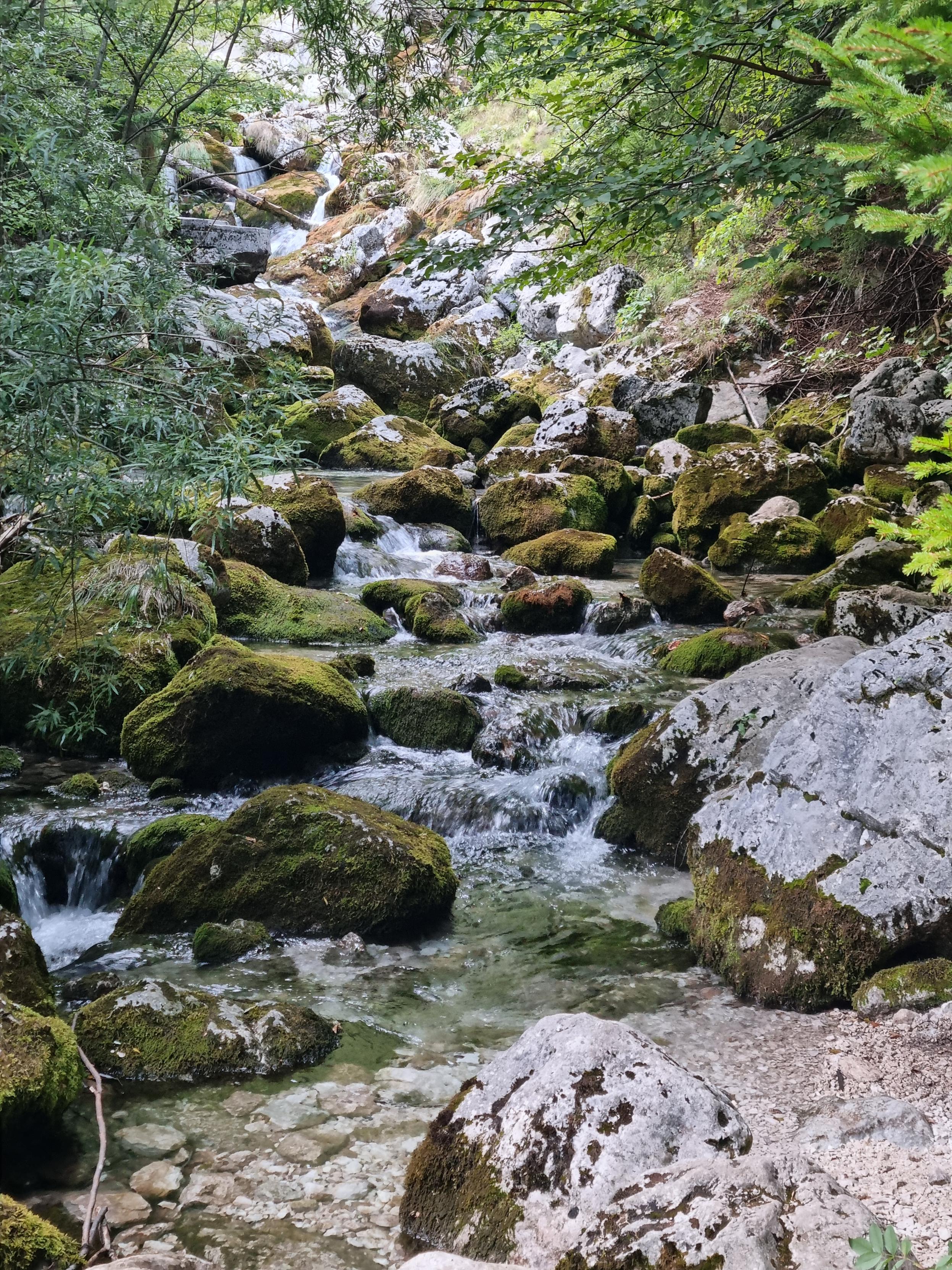 River floating through a field of rocks