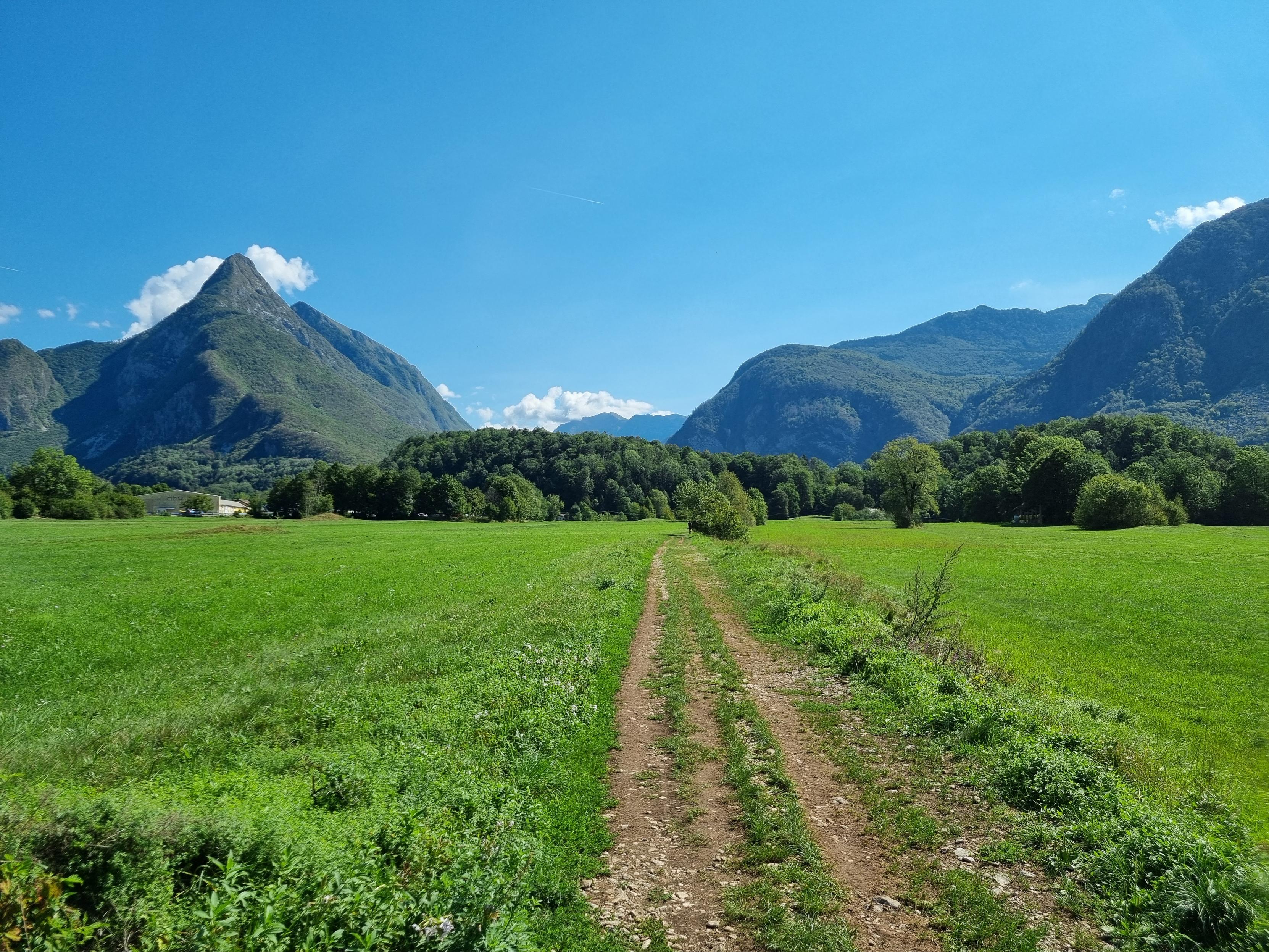 Trail surrounded by fields with mountains in the background.
