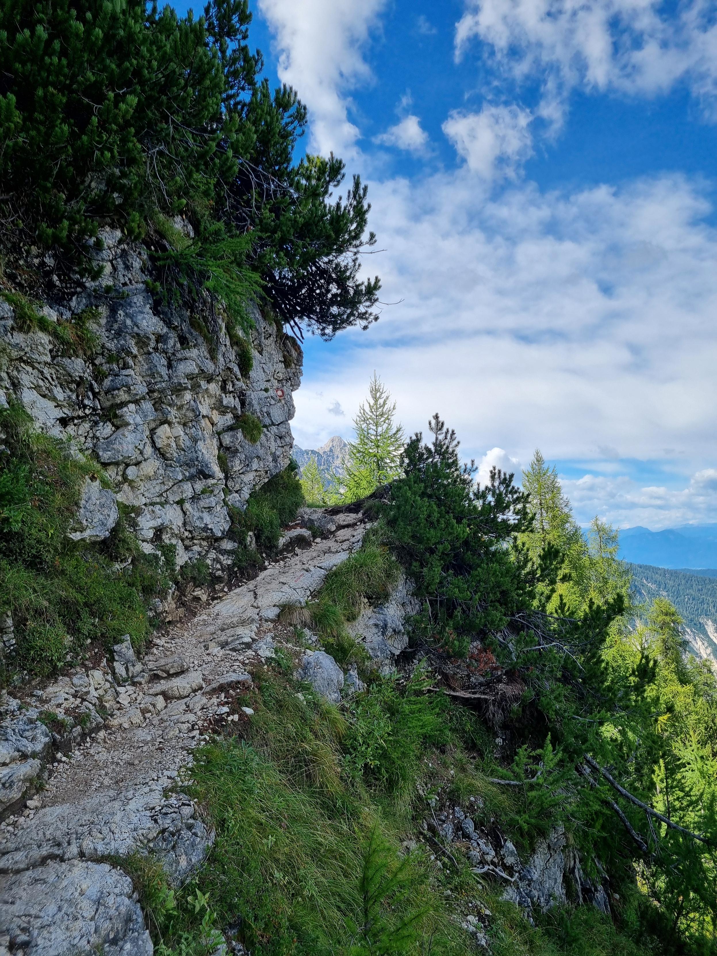 Mountain track